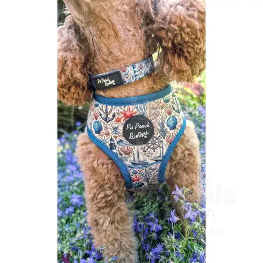 Vintage Nautical Dog Collar - Pet Pooch - 2