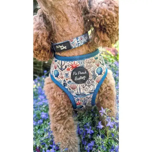 Vintage Nautical Dog Collar - Pet Pooch - 2
