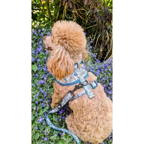 Vintage Nautical Dog Harness - Pet Pooch - 3