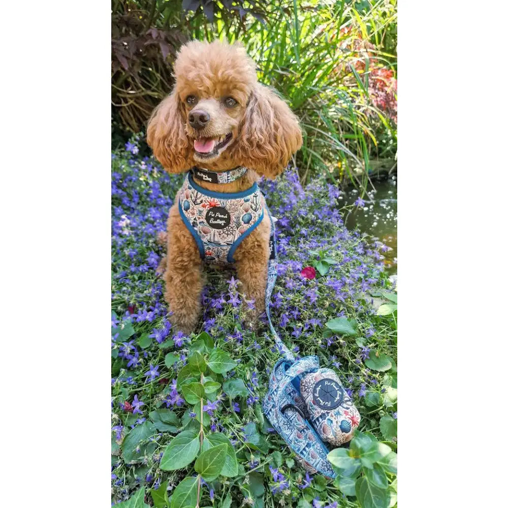 Vintage Nautical Dog Lead - Pet Pooch - 4