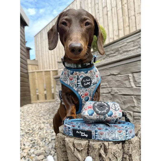 Vintage Nautical Dog Poo Bag Holder - Pet Pooch - 2