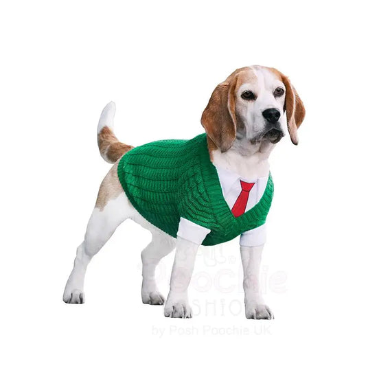 Wallace’s Dog Sweater - Posh Pawz - 2