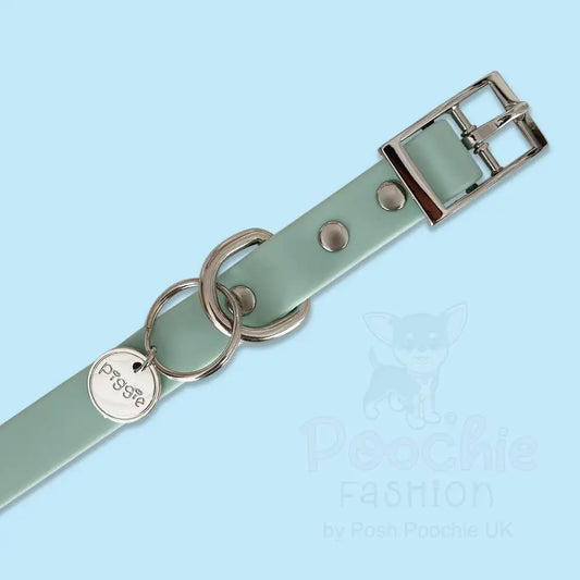 Waterproof Dog Collar in Pastel Green - Piggie - 2