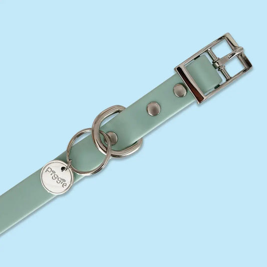 Waterproof Dog Collar in Pastel Green - Piggie - 2