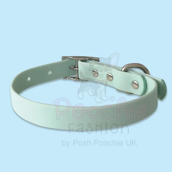 Waterproof Dog Collar in Pastel Green Piggie 3