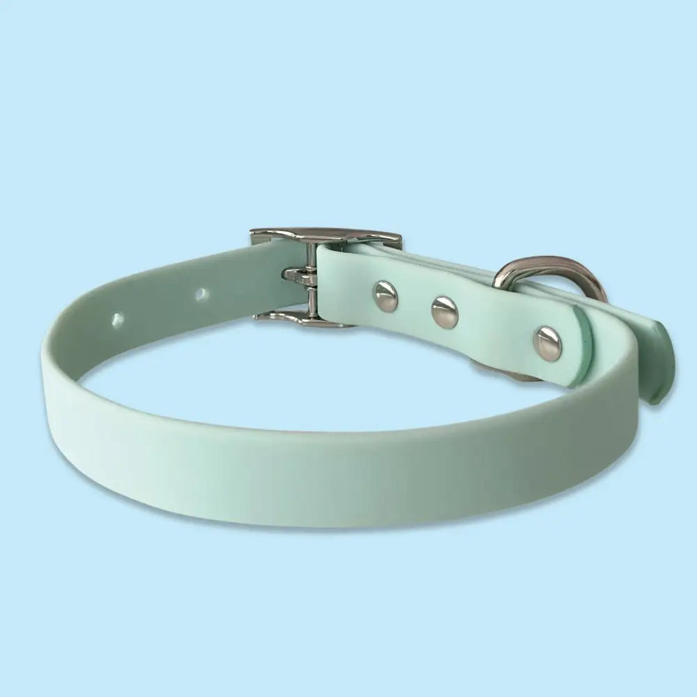 Waterproof Dog Collar in Pastel Green - Piggie - 3