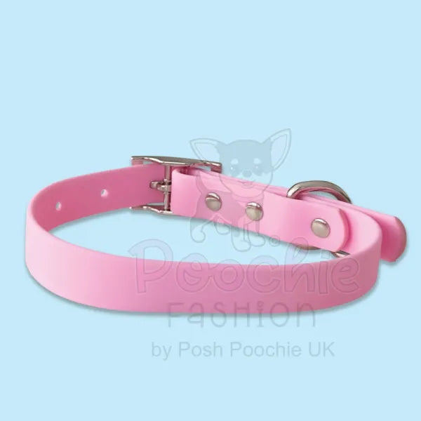 Waterproof Dog Collar in Pastel Lilac Piggie 3