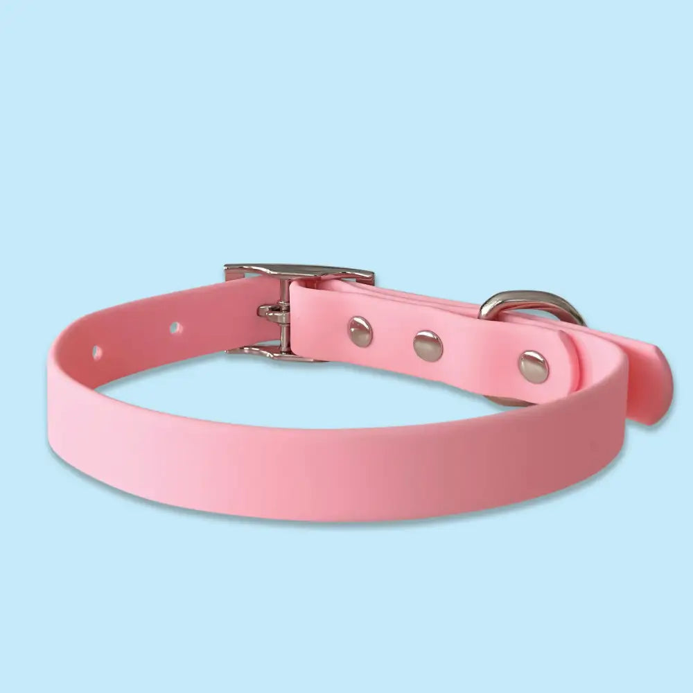 Waterproof Dog Collar in Pastel Pink - Piggie - 3