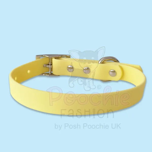 Waterproof Dog Collar in Pastel Yellow Piggie 3