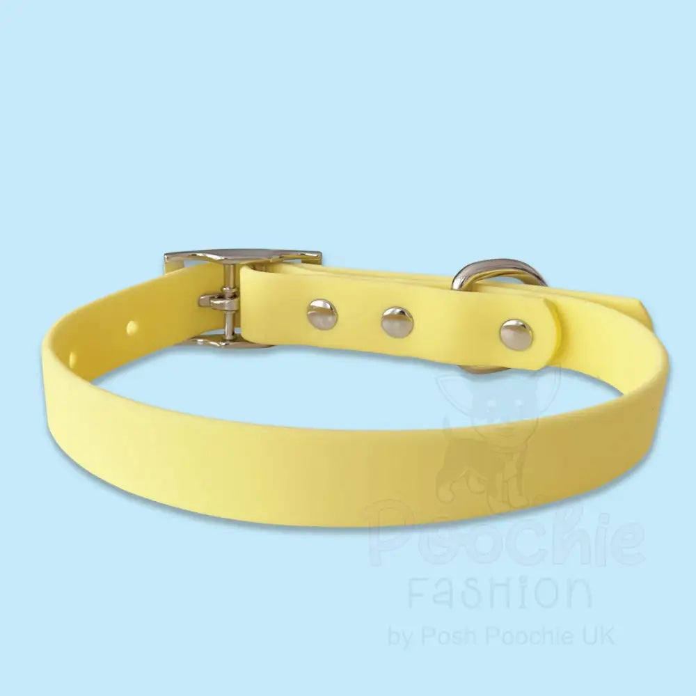 Waterproof Dog Collar in Pastel Yellow - Piggie - 3
