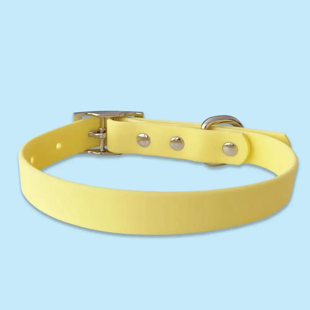 Waterproof Dog Collar in Pastel Yellow - Piggie - 3