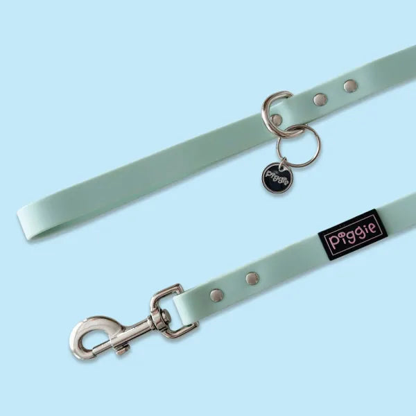 Waterproof Dog Lead in Pastel Green Piggie 1