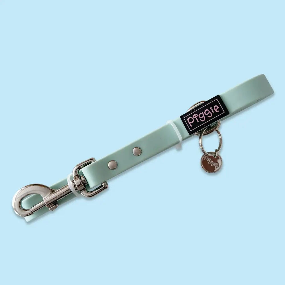 Waterproof Dog Lead in Pastel Green - Piggie - 2