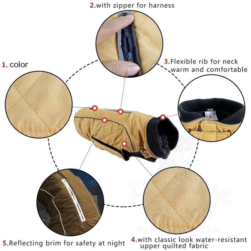 Weatherproof Quilted Bodywarmer Dog Coat in Green - Posh Pawz - 6