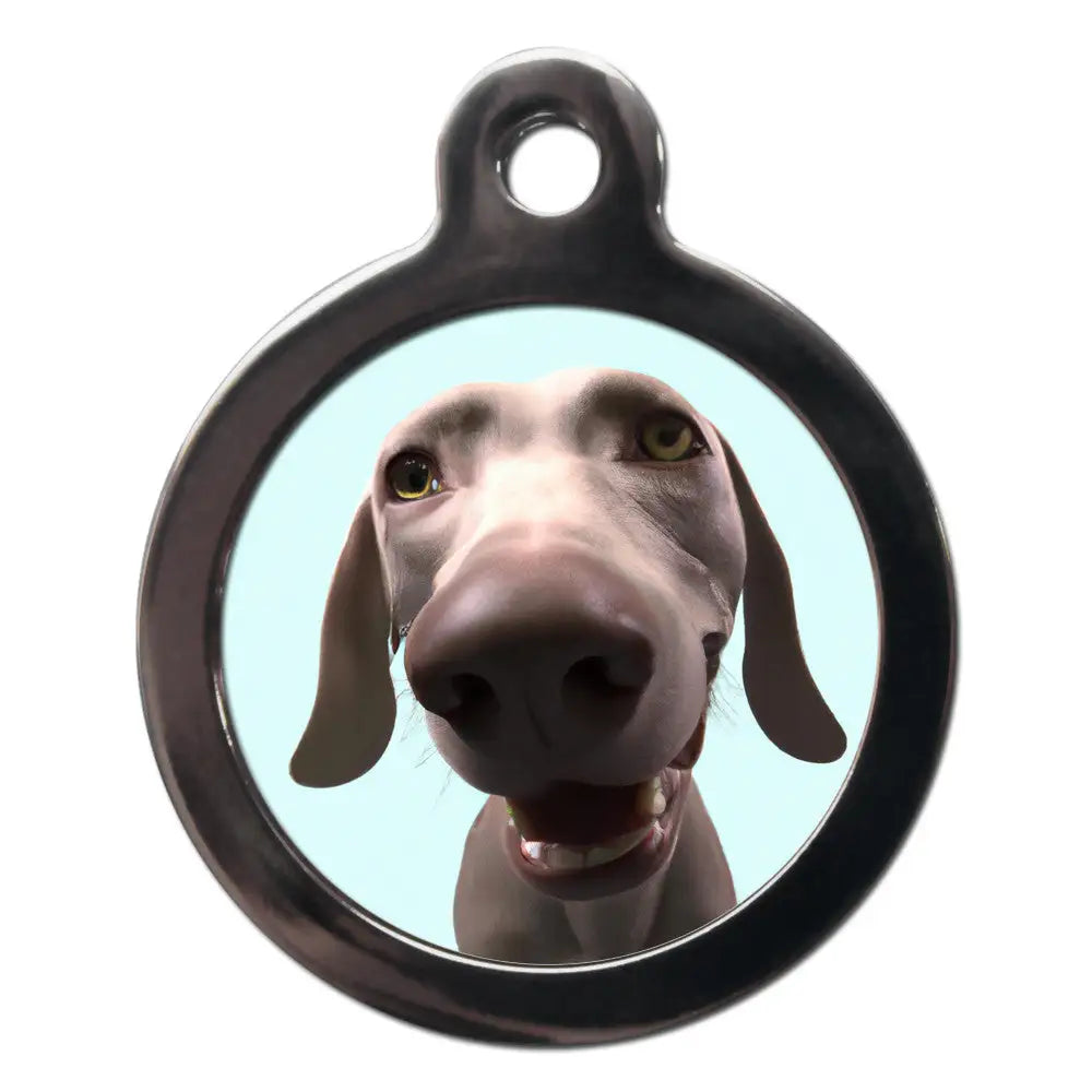 Weimaraner Fish Eye Lens Dog Id Tag - Ps Pet Tags - 1