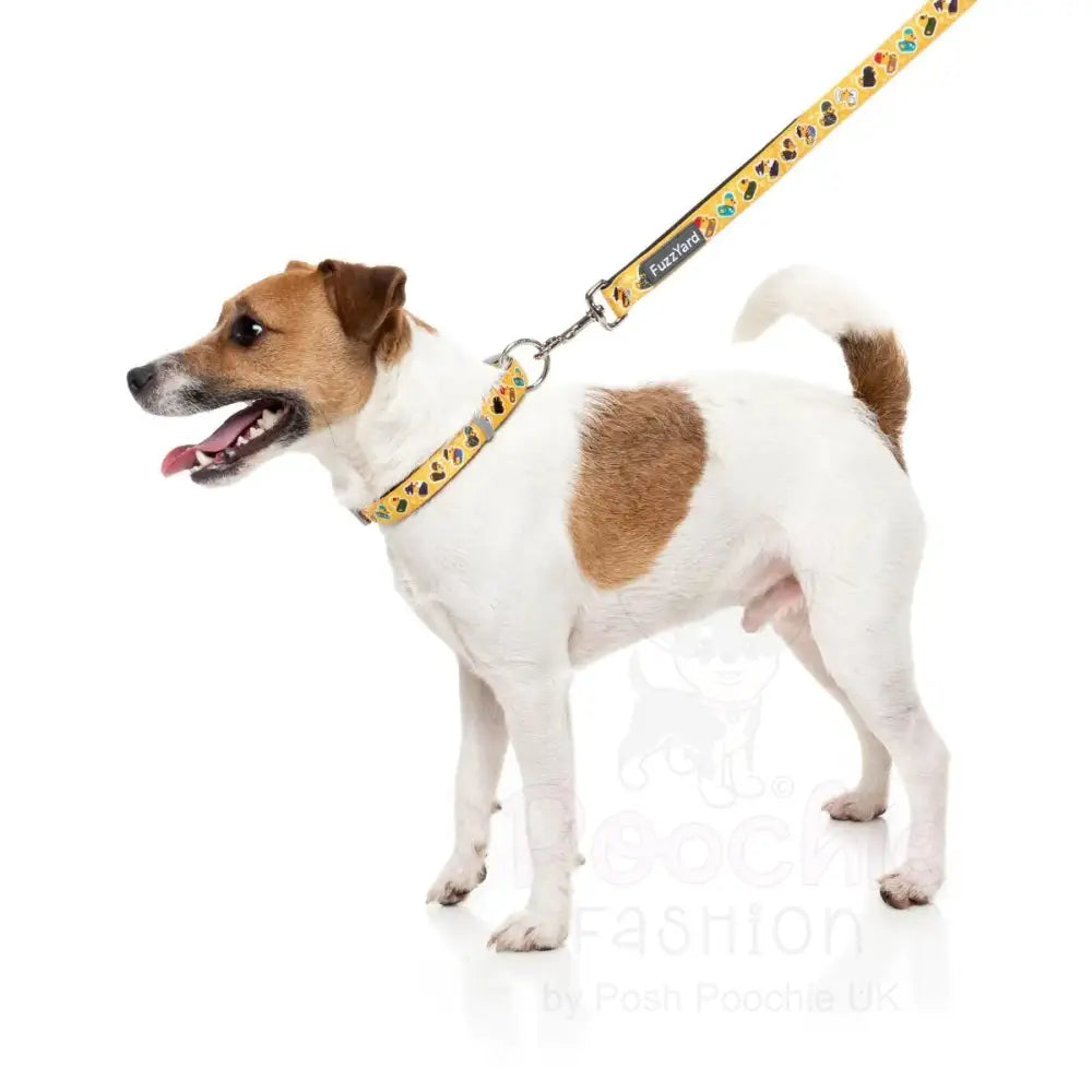 What the Duck Dog Collar by Fuzzyard - Fuzzyard - 3