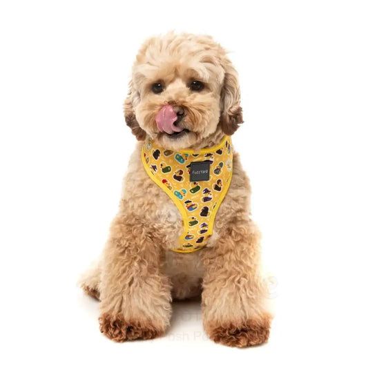 What the Duck Dog Harness by Fuzzyard - Fuzzyard - 2