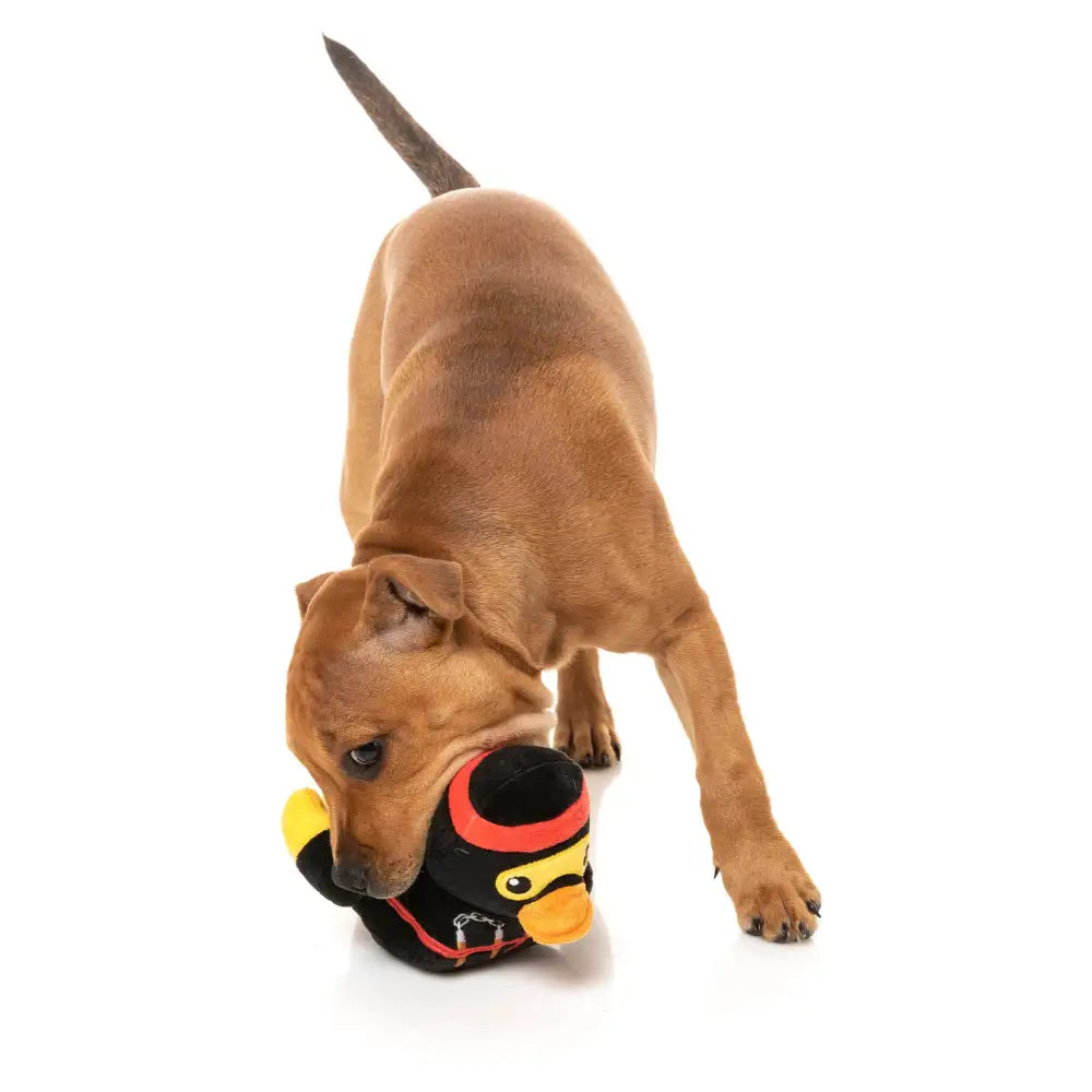 What the Duck - Quackie Chan Dog Toy by Fuzzyard - Fuzzyard - 7