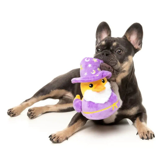 What the Duck - Sirius Quack Dog Toy by Fuzzyard - Fuzzyard - 2