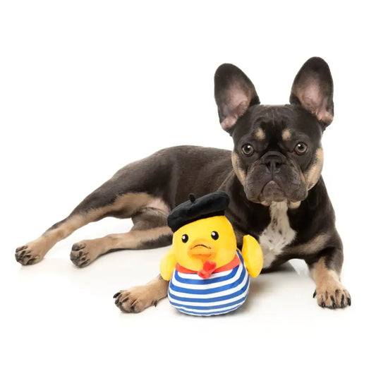 What the Duck - Timotheé Chalaquack Dog Toy by Fuzzyard - Fuzzyard - 2