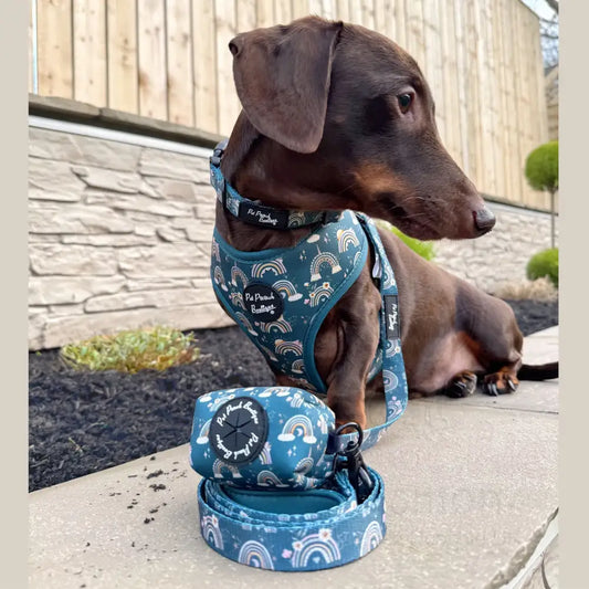 Whimsical Rainbows Dog Harness - Pet Pooch - 2
