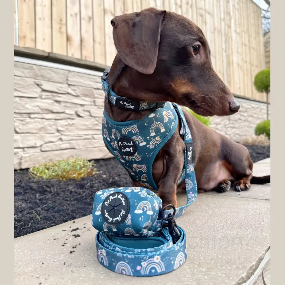 Whimsical Rainbows Dog Poo Bag Holder - Pet Pooch - 2