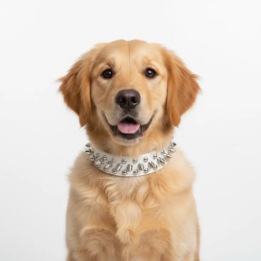 White Metro Spike Vegan Leather Dog Collar - Posh Pawz - 2