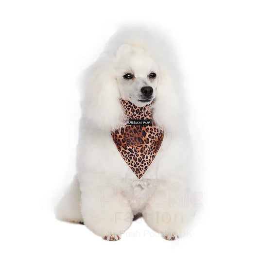 Wild Cat Leopard Dog Bandana Collar - Urban - 2