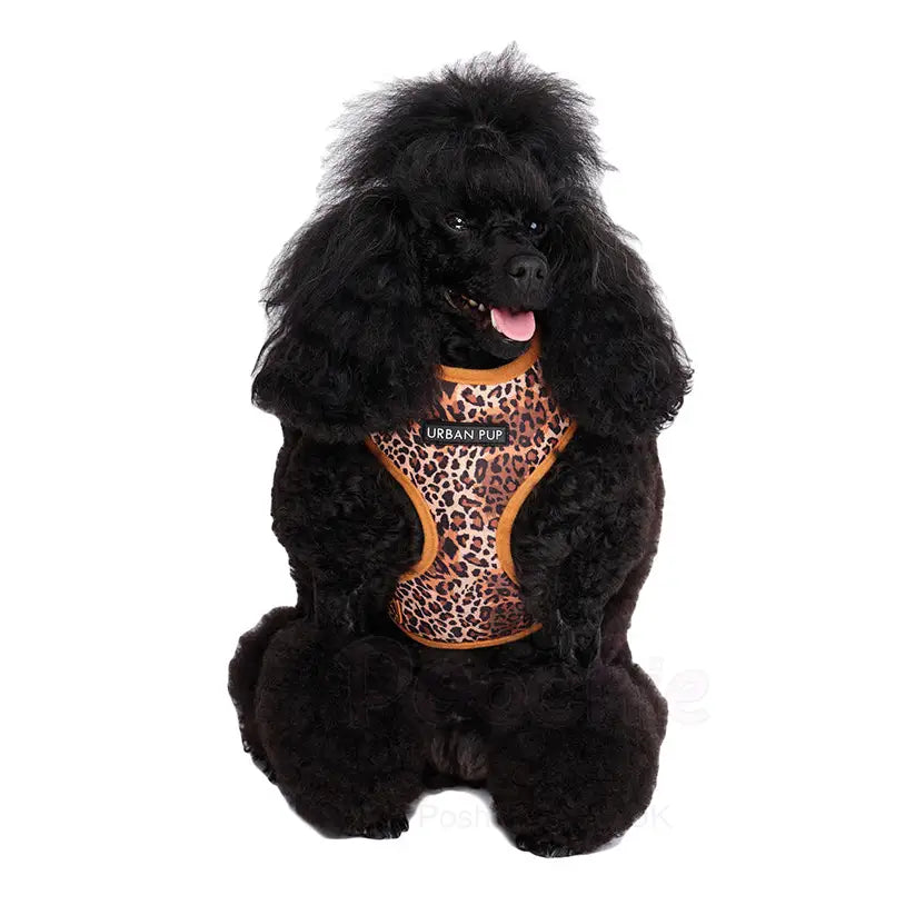 Wild Cat Leopard Dog Harness - Urban - 4