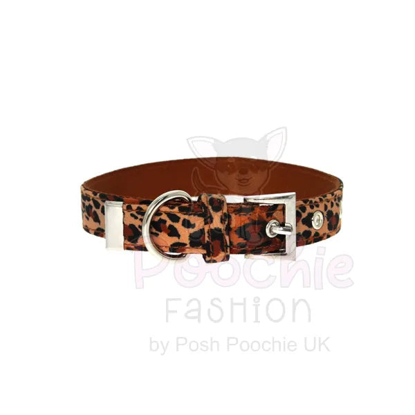 Wild Cat Leopard Fabric Dog Collar - Urban - 5