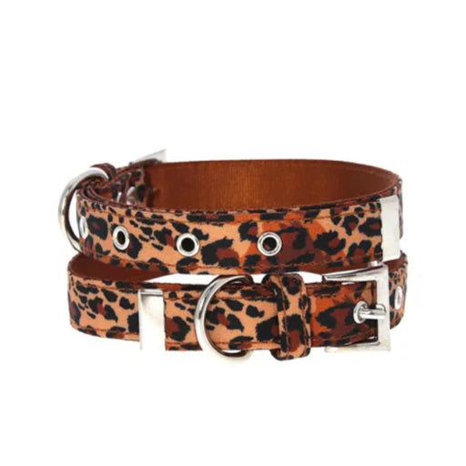 Wild Cat Leopard Fabric Dog Collar - Urban - 1