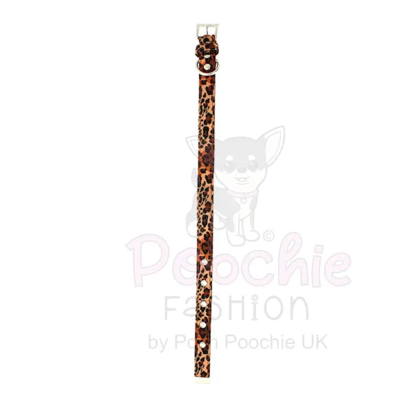 Wild Cat Leopard Fabric Dog Collar - Urban - 4