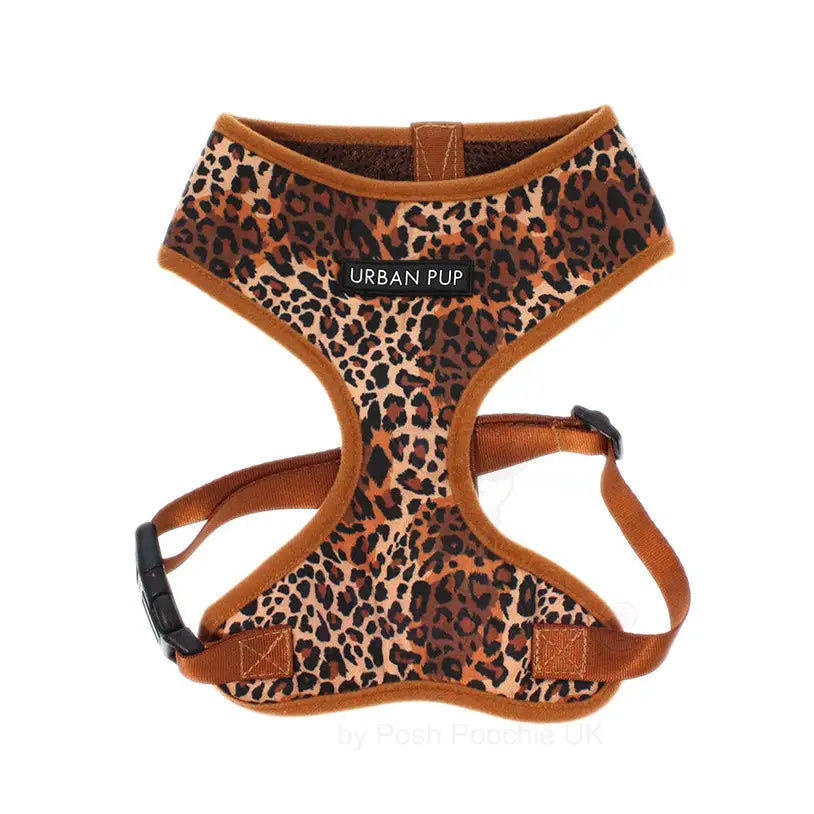 Wild Leopard Dog Harness - Sale - 4