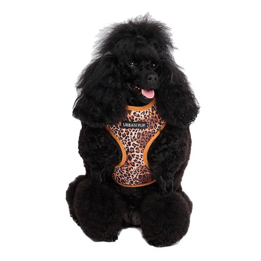 Wild Leopard Dog Harness - Sale - 1