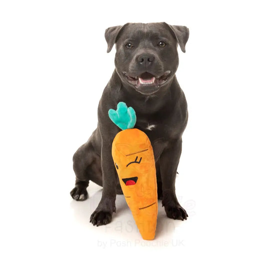 Winky Carrot Dog Toy by Fuzzyard - Fuzzyard - 2