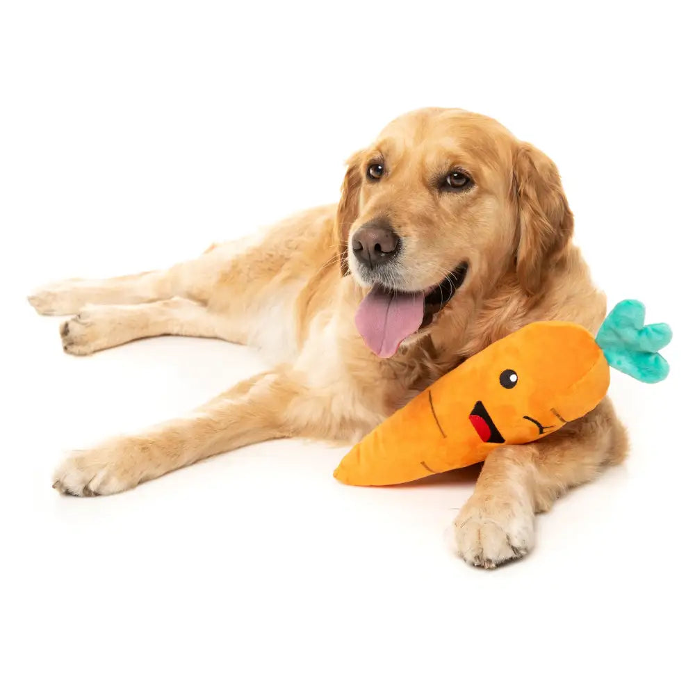 Winky Carrot Dog Toy by Fuzzyard - Fuzzyard - 3