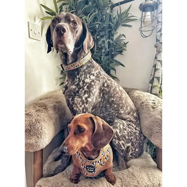 Woodland Badger Dog Collar - Pet Pooch - 2