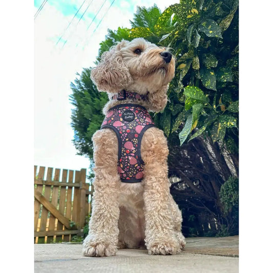 Woodland Hedgehog Dog Harness - Pet Pooch - 2