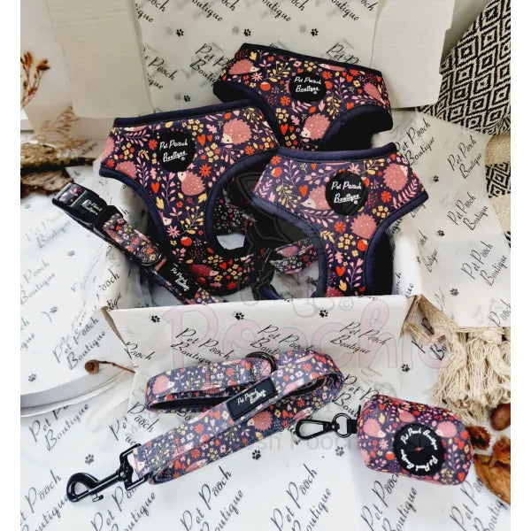 Woodland Hedgehog Puppy Dog Collar Pet Pooch 3