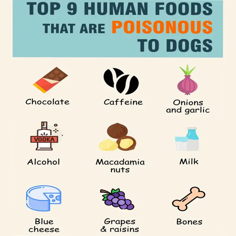 Human foods that are bad for your dogs