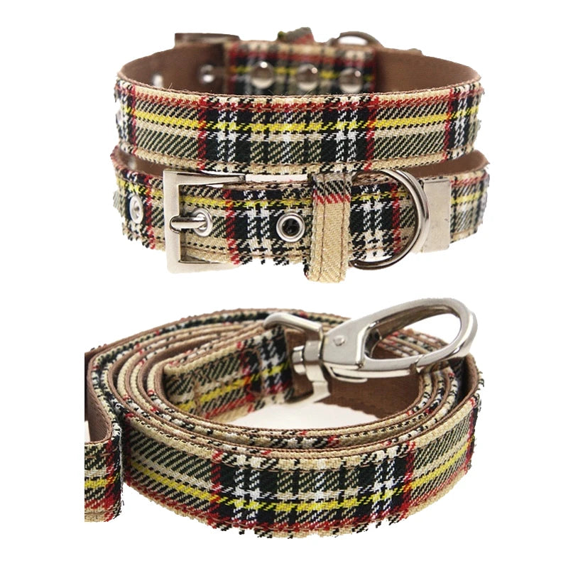 dog collar and lead