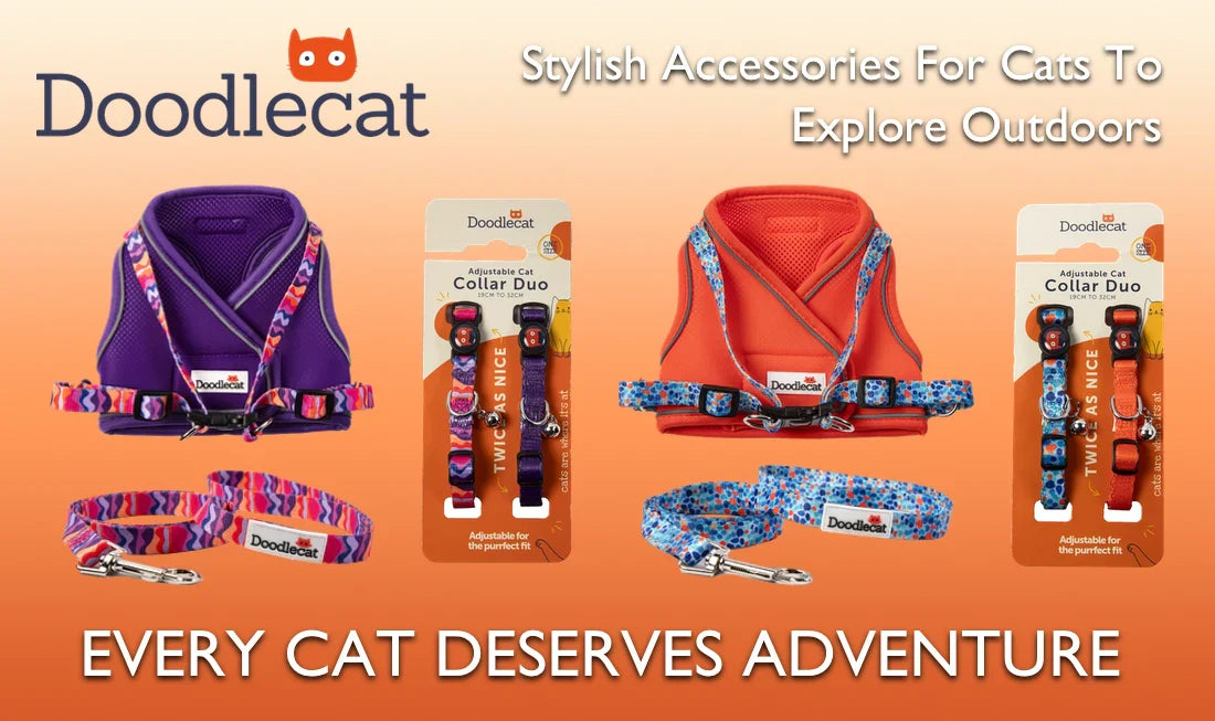 Doodlecat Collection