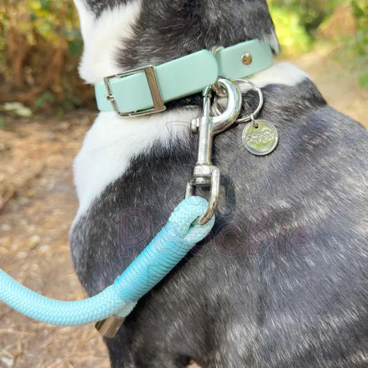 5ft Rope Dog Lead in Pastel Blue Piggie 2