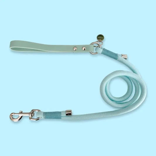 5ft Rope Dog Lead in Pastel Blue Piggie 1