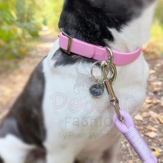 5ft Rope Dog Lead in Pastel Lilac Piggie 2