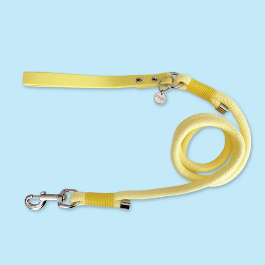 5ft Rope Dog Lead in Pastel Yellow - Piggie - 1