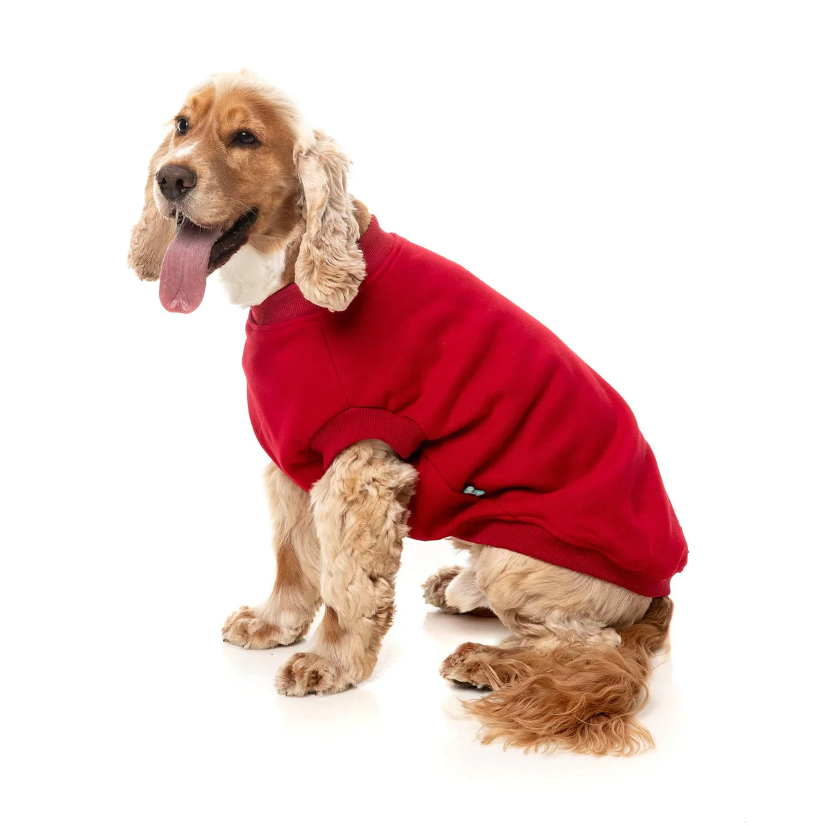FuzzYard Allday Dog Jumper - Red