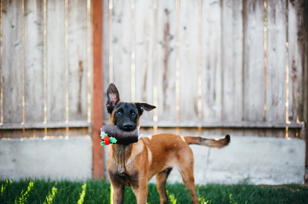 Classic Yule Log Christmas Dog Toy By P.L.A.Y