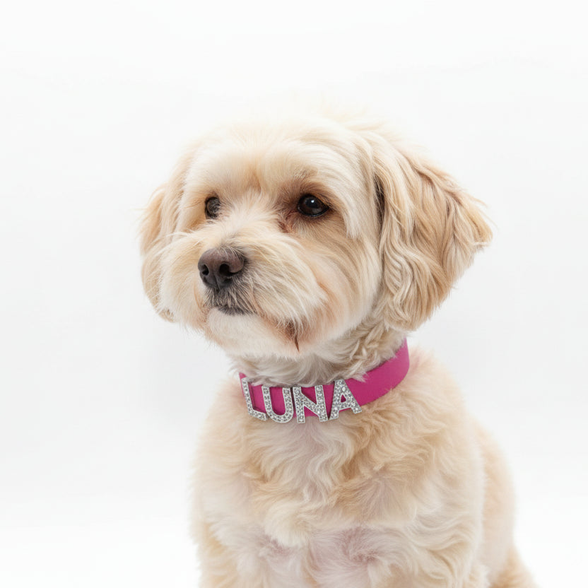 Hot Pink Waterproof Personalised Dog Collar With Large Diamante Letters