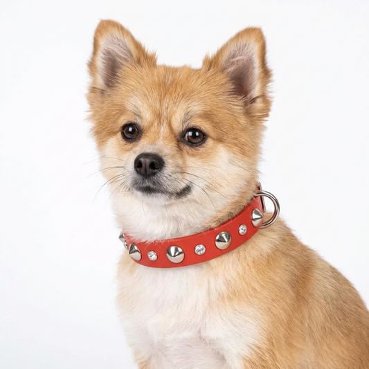 Red Biothane Slim Stud & Crystal Dog Collar